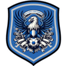 https://img.whhuajin.com/img/football/team/09bb5b9732bc080d522c37e74ce70004.png