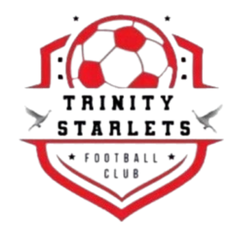 https://img.whhuajin.com/img/football/team/0f61c21299f519932de0f987db80b196.png