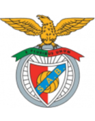 https://img.whhuajin.com/img/football/team/13d8d22b32e0803f939082416da63541.png