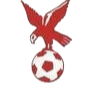 https://img.whhuajin.com/img/football/team/4802d26df935b78bb2fcdbbff36e8864.png