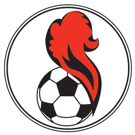 https://img.whhuajin.com/img/football/team/5541e5015258ae82b121480f4164267d.png