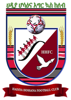 https://img.whhuajin.com/img/football/team/6b722ac8d4b936380432e7a58ef41b4e.png